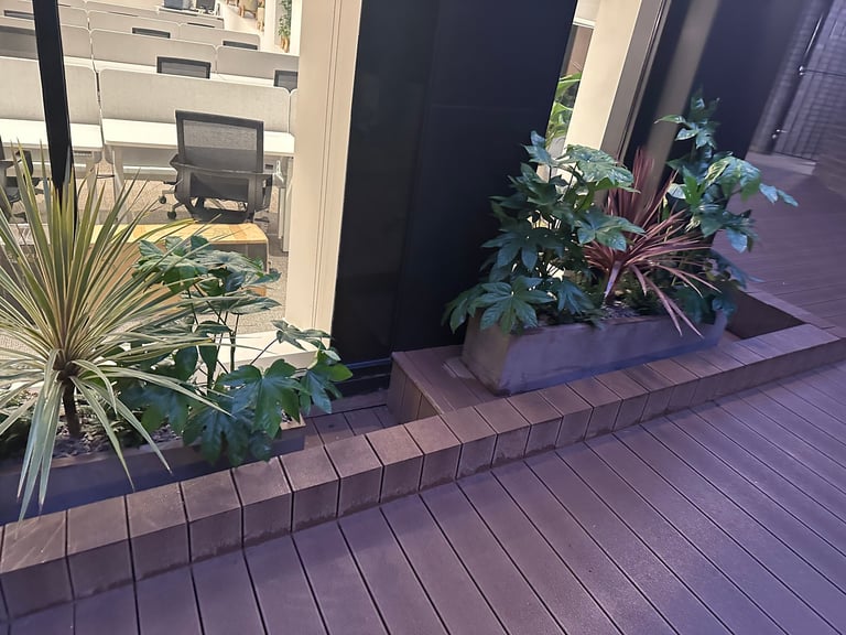 Modern deck with potted plants and tropical vegetation near a building entrance with large windows